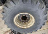  Terra Tire 66x43-25