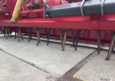 Tulip Lely Roterra 302/55