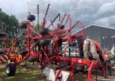 Lely Hibiscus 915