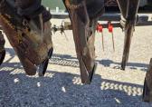 Kongskilde Demeter classic opbouwzaaimachine